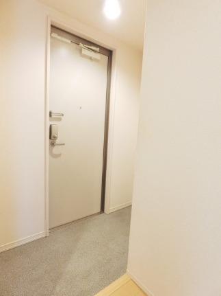 ��ʌ��k�����S�ɓޒ��厚�����̃A�p�[�g�̌���