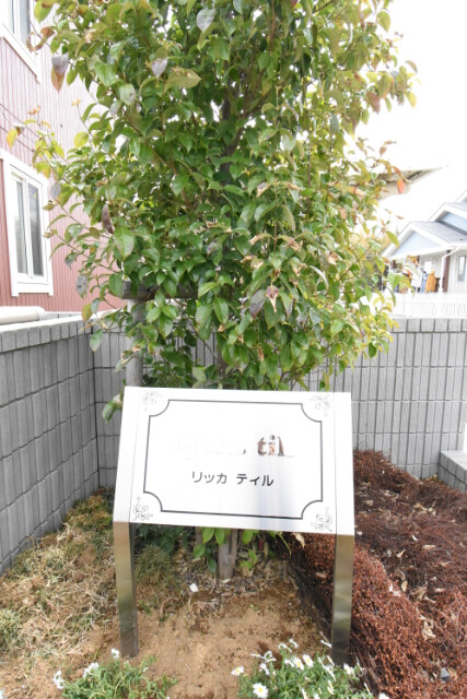 ��ʌ��������܎s����{�O���̃A�p�[�g�̎���