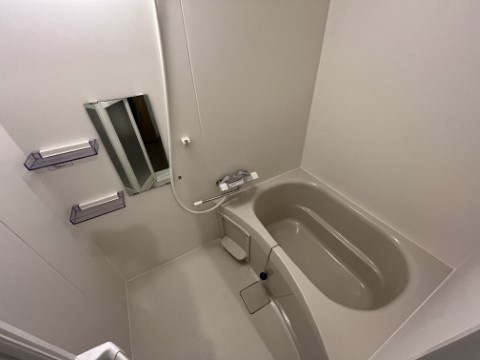 ��ʌ��t�����s�Ԑς̃A�p�[�g�̃o�X