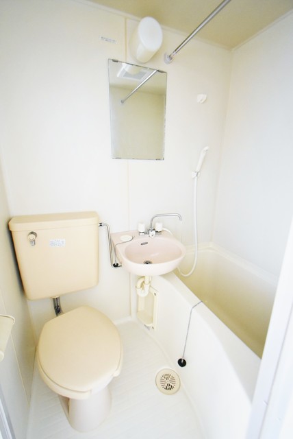 ��ʌ��������܎s�����擌��{�P���ڂ̃A�p�[�g�̃o�X