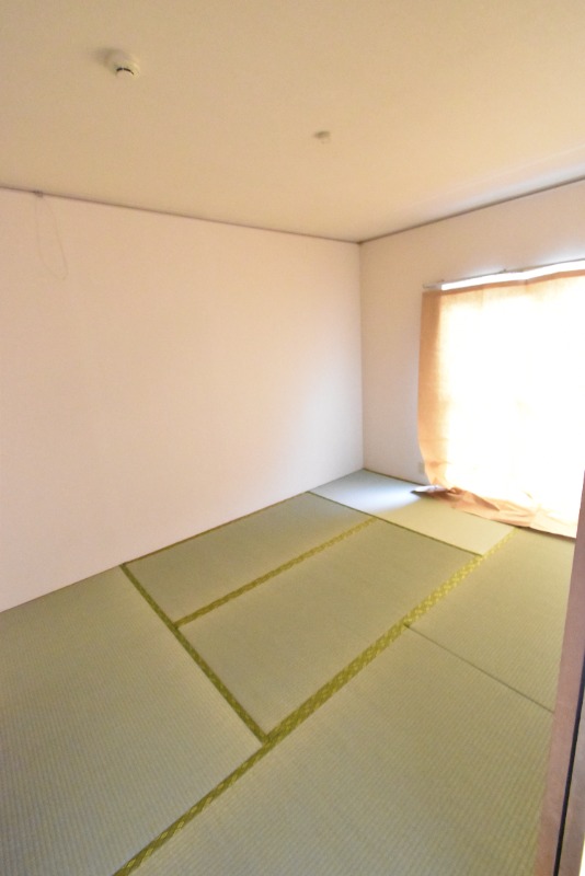 ��ʌ��������܎s����厚�_�c�̃A�p�[�g�̂��̑�