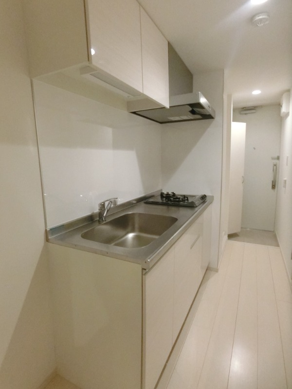 ��ʌ��������܎s��摾�c�E�Q���ڂ̃}���V�����̃L�b�`��