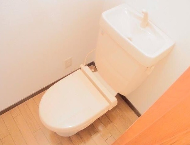 ��ʌ��������܎s�΋�厚���̃A�p�[�g�̃g�C��