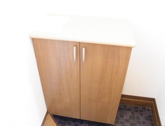 ��ʌ��������܎s�΋�厚���̃A�p�[�g�̌���