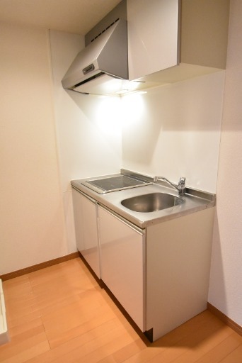 ��ʌ��������܎s���Ȗ{�S���ڂ̃}���V�����̃L�b�`��