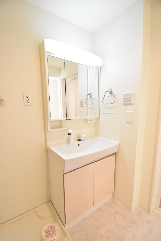 ��ʌ�����s�厚������̃}���V�����̐��ʏ�