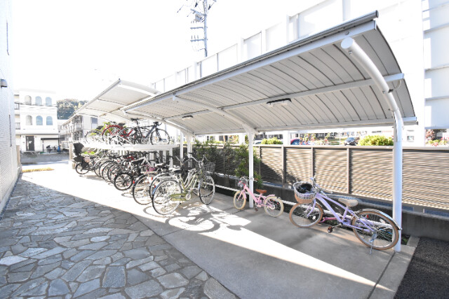 ��ʌ�����s�厚������̃}���V�����̂��̑�