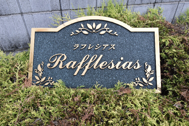 ��ʌ��������܎s�����扺�����S���ڂ̃A�p�[�g�̂��̑�