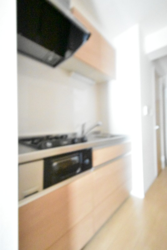 ��ʌ��������܎s�k����i���Q���ڂ̃A�p�[�g�̃L�b�`��