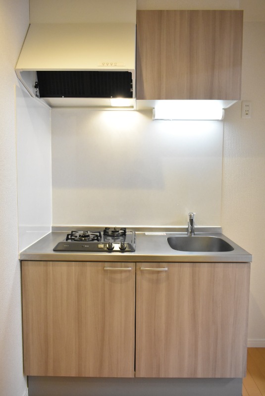 ��ʌ��t�����s�����R���ڂ̃A�p�[�g�̃L�b�`��