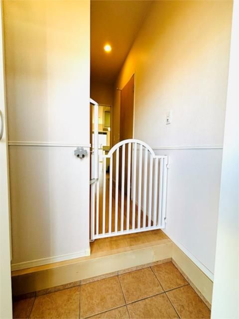 ��ʌ�����s�厚�ΐ_�̃A�p�[�g�̌���