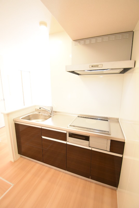 ��ʌ��������܎s����{�O���̃A�p�[�g�̃L�b�`��