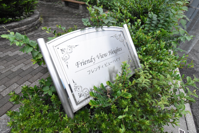 ��ʌ�����s�厚������̃}���V�����̎���