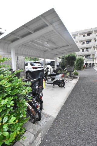 ��ʌ�����s�厚������̃}���V�����̂��̑�