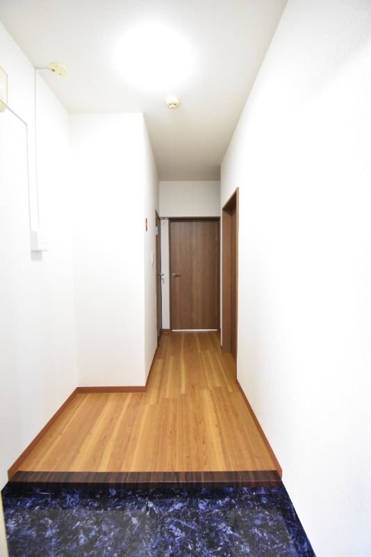 ��ʌ��������܎s�k��A�|���P���ڂ̃}���V�����̌���