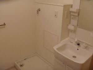 ��ʌ�����s�厚����̃}���V�����̐��ʏ�