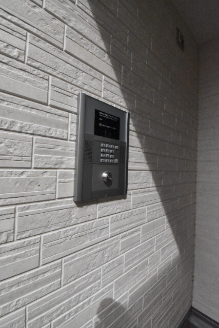 ��ʌ��z�J�s�����c���̃}���V�����̂��̑�