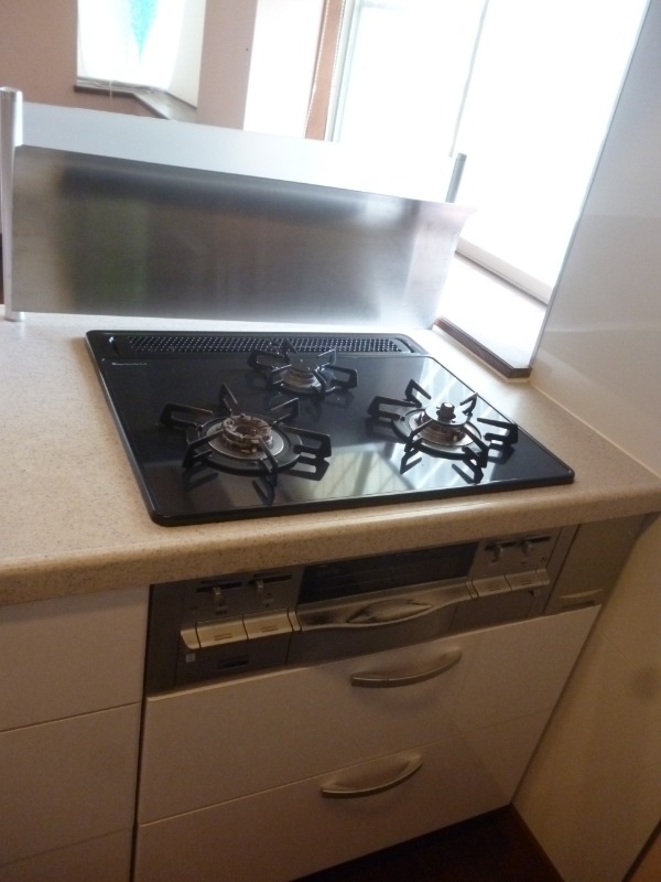 ��ʌ��������܎s������厚�䑠�̈�ˌ��ẴL�b�`��