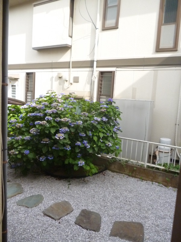 ��ʌ��������܎s������厚�䑠�̈�ˌ��Ă̂��̑�