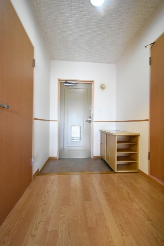 ��ʌ��������܎s������厚�@���̃}���V�����̌���