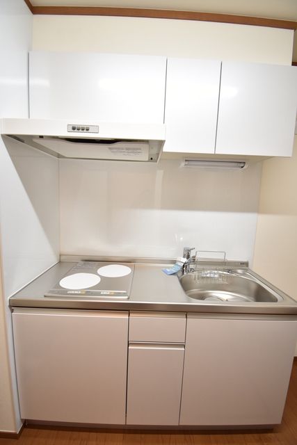 ��ʌ��������܎s�Y�a���ՂR���ڂ̃A�p�[�g�̃L�b�`��