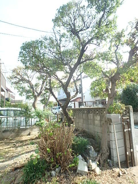 ��ʌ��������܎s�k����i���P���ڂ̈�ˌ��Ă̂��̑�