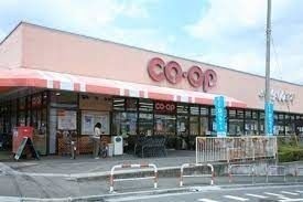 ��ʌ��������܎s�Y�a��؍�Q���ڂ̃}���V�����̎���