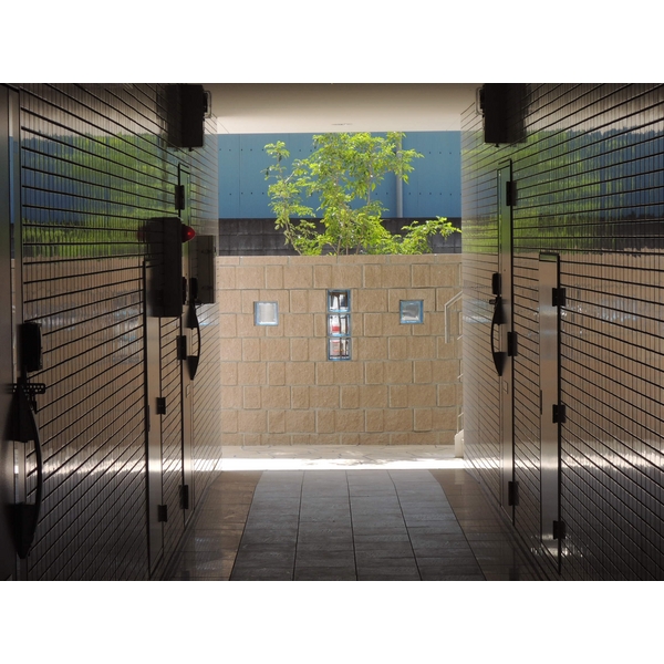 ��ʌ�����s�O�c�a�R���ڂ̃}���V�����̂��̑�