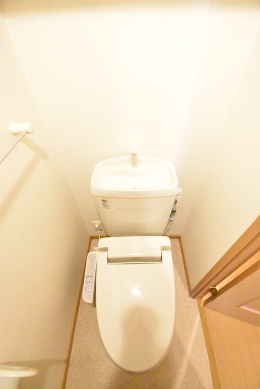 ��ʌ�����s�厚������̃}���V�����̃g�C��