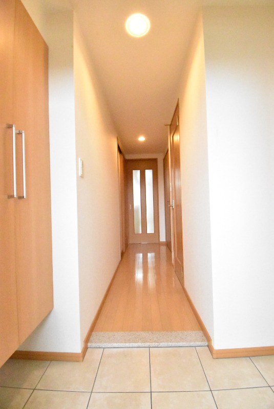 ��ʌ�����s�厚������̃}���V�����̌���