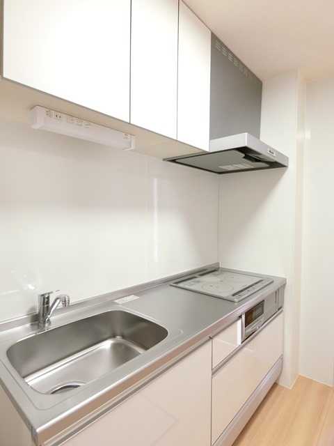 ��ʌ��������܎s��{��x�̓����P���ڂ̃A�p�[�g�̃L�b�`��