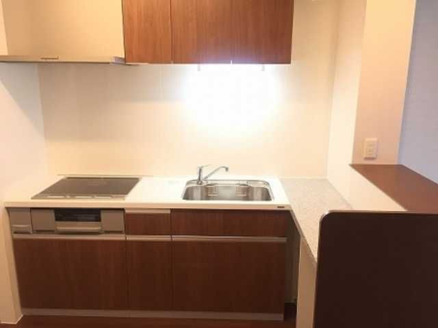 ��ʌ��������܎s������㗎���T���ڂ̃A�p�[�g�̃L�b�`��