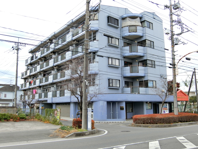 ��ʌ�����s�厚���~�J�̃}���V�����̌����O��