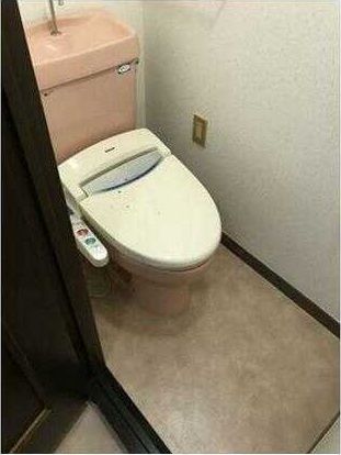 ��ʌ�����s�厚���~�J�̃}���V�����̃g�C��