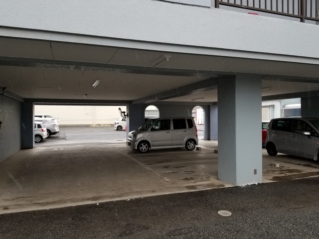 ��ʌ�����s�厚���~�J�̃}���V�����̒��ԏ�