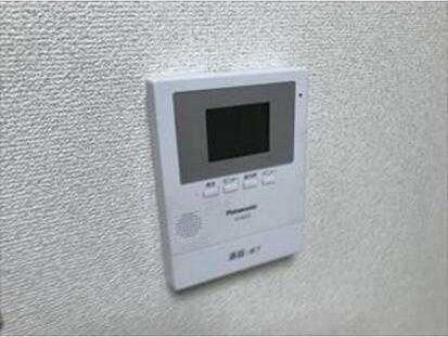 ��ʌ�����s�厚���~�J�̃}���V�����̂��̑�