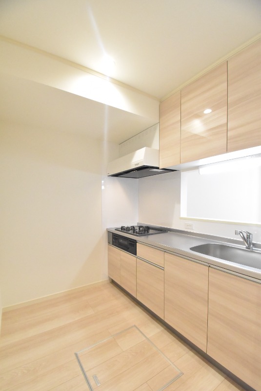 ��ʌ��������܎s�Y�a��哌�Q���ڂ̃e���X�n�E�X�̃L�b�`��