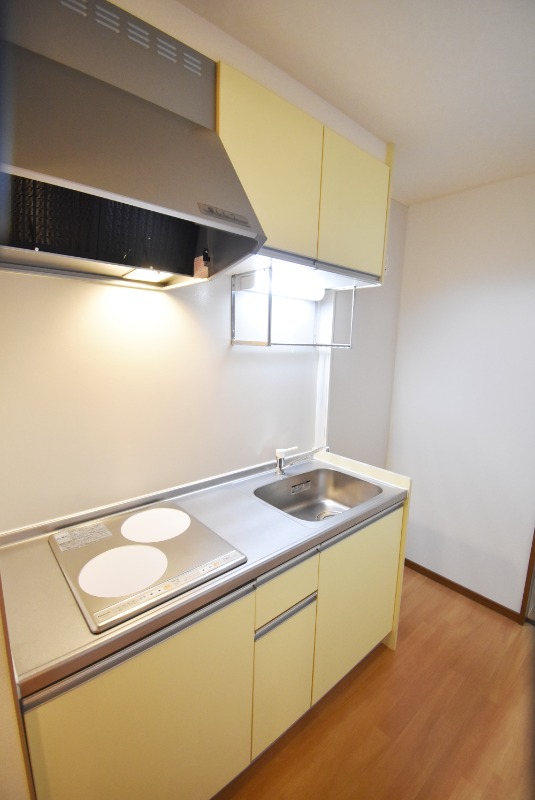 ��ʌ��������܎s��{��y�蒬�Q���ڂ̃A�p�[�g�̃L�b�`��