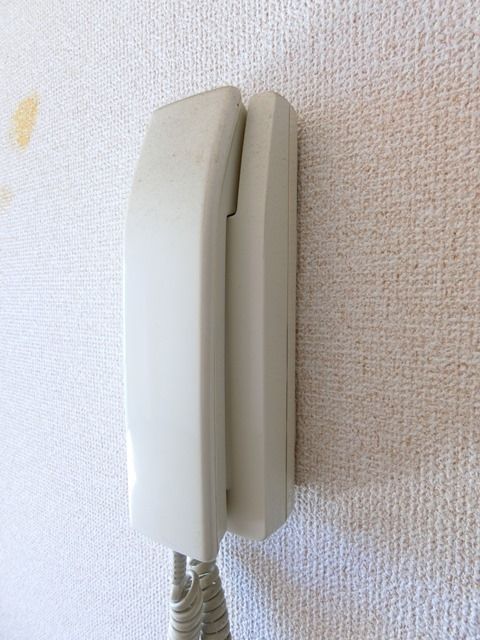 ��ʌ��������܎s�����擌��{�T���ڂ̃}���V�����̂��̑�