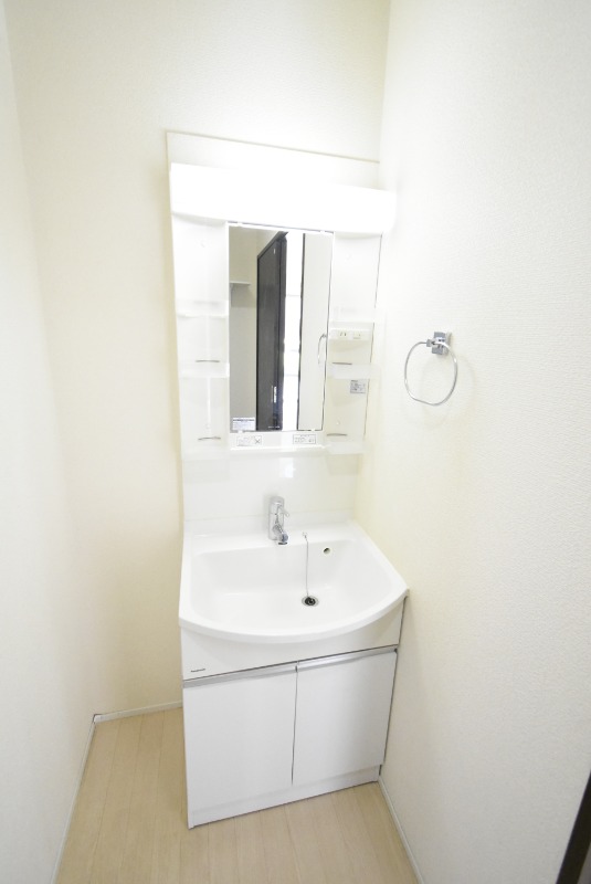 ��ʌ�����s�厚������̈�ˌ��Ă̐��ʏ�