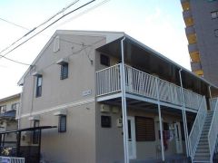 ʌ܎skiP716-3̃Ap[ǧO