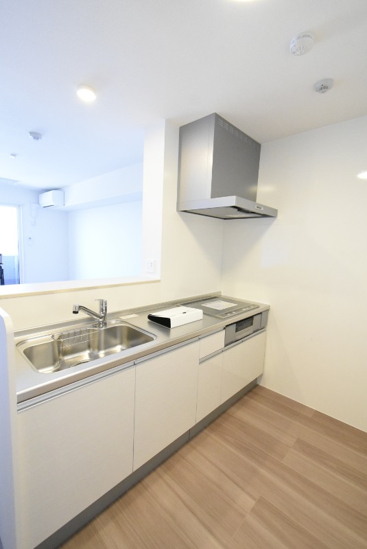 ��ʌ��������܎s����厚�w��̃A�p�[�g�̃L�b�`��