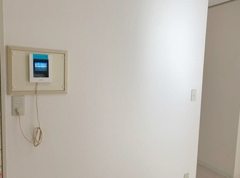 ��ʌ��������܎s�k�擌�听���P���ڂ̃}���V�����̂��̑�