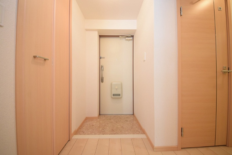 ��ʌ�����s�厚������̃}���V�����̌���