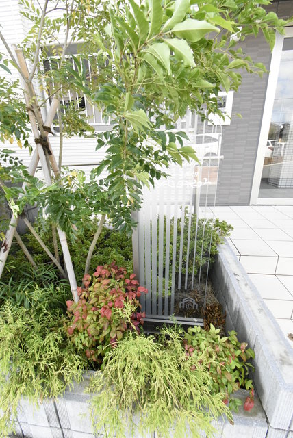 ��ʌ��������܎s���搼��{�S���ڂ̃}���V�����̂��̑�