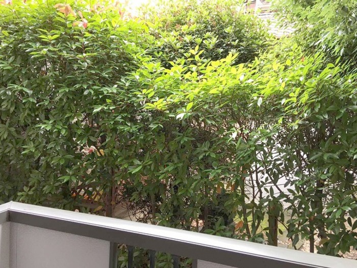 ��ʌ��������܎s����h�a�U���ڂ̃A�p�[�g�̂��̑�