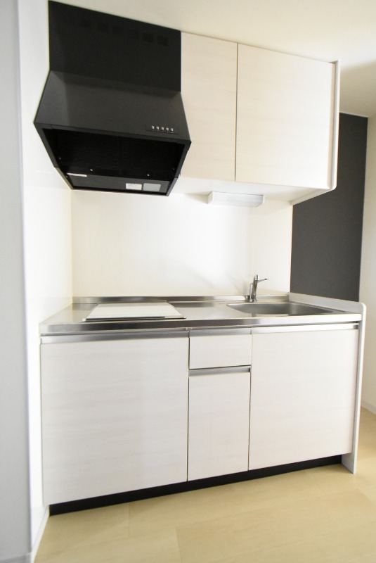 ��ʌ�����s���s���R���ڂ̃A�p�[�g�̃L�b�`��