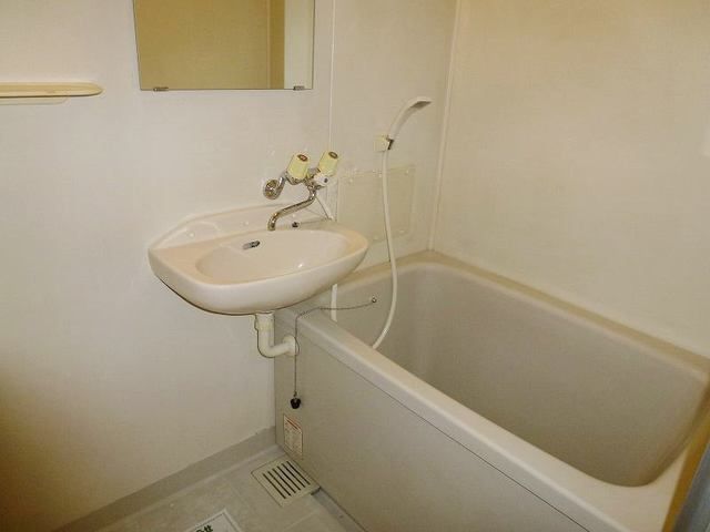 ��ʌ��@�c�s���V�h�S���ڂ̃}���V�����̃o�X