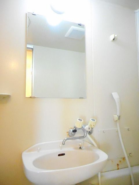 ��ʌ��@�c�s���V�h�S���ڂ̃}���V�����̐��ʏ�