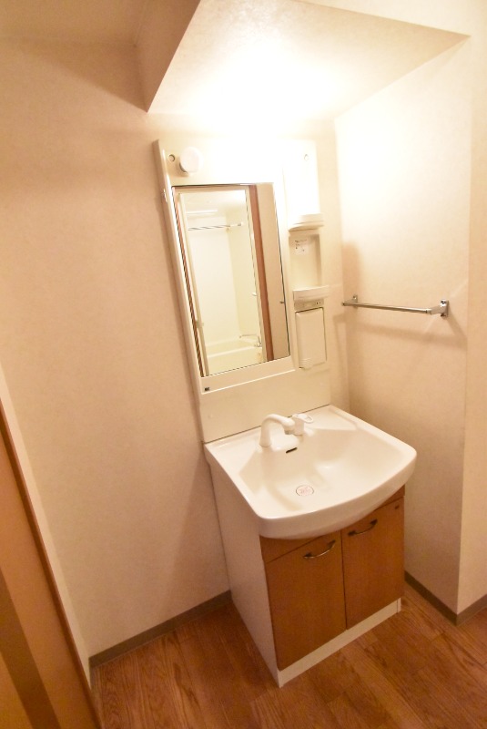 ��ʌ�����s�厚���s�g���̃}���V�����̐��ʏ�